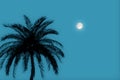 Silhouette of a Palm Tree Against the Background of the Evening Sky with the Moon. 3d Rendering Royalty Free Stock Photo