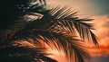 Silhouette palm tree back lit by sunset, tropical vacations beauty generated by AI