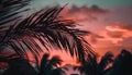 Silhouette of palm tree back lit by vibrant sunset sky generated by AI Royalty Free Stock Photo