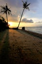 Silhouette of palm tree at a beach Royalty Free Stock Photo