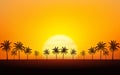 Silhouette palm tree on beach under sunset sky background Royalty Free Stock Photo