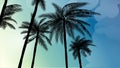 Silhouette palm tree in flat icon design at sunset with vintage filter background vector Royalty Free Stock Photo
