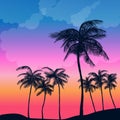 Silhouette palm tree in flat icon design at sunset with vintage filter background vector Royalty Free Stock Photo