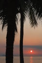 Silhouette of a palm tree near the ocean against a colorful sunset Royalty Free Stock Photo