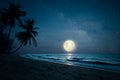 Silhouette palm tree in night skies and full moon - dreamlike wonder nature
