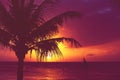 Silhouette palm tree sailboats sunset faded filter Royalty Free Stock Photo