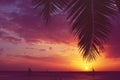 Silhouette palm tree sailboats sunset faded filter Royalty Free Stock Photo