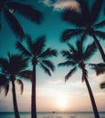 Silhouette of palm tree on sandy beach at tropical seaside, generative ai