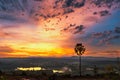 Silhouette palm tree on sunrise with colorful twilight sky on the mountain