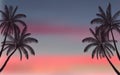 Silhouette palm tree and sunset sky in flat icon design with vintage filter background Royalty Free Stock Photo