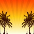 Silhouette palm tree and sunshine ray in flat icon design with vintage filter background