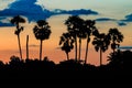 Silhouette of palm tree on twilight Royalty Free Stock Photo