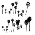 Silhouette palm tree on white background. coconut tree black color