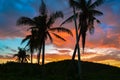 Silhouette of palm trees against a beautiful sunset over Cebu, Philippines Royalty Free Stock Photo