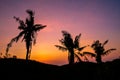 Silhouette of palm trees against a beautiful sunset over Cebu, Philippines Royalty Free Stock Photo