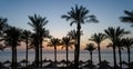 silhouette of palm trees against the dawn sky and blue sea Royalty Free Stock Photo