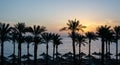 silhouette of palm trees against the dawn sky and blue sea Royalty Free Stock Photo