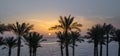 Silhouette of palm trees against the dawn sky and blue sea Royalty Free Stock Photo