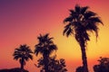 Silhouette of palm trees against sky Royalty Free Stock Photo