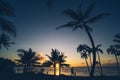 Silhouette of palm trees at sunset. Royalty Free Stock Photo