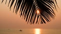 Silhouette of palm trees Beautiful sunset on the tropical sea beach background for travel in holiday relax time Royalty Free Stock Photo