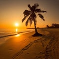 Silhouette of palm trees Beautiful sunset on the tropical sea beach background for travel in holiday relax time Royalty Free Stock Photo