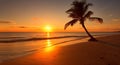 Silhouette of palm trees Beautiful sunset on the tropical sea beach background for travel in holiday relax time Royalty Free Stock Photo