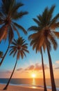 Silhouette of palm trees Beautiful sunset on the tropical sea beach background for travel in holiday relax time, Royalty Free Stock Photo