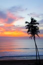 Silhouette of palm trees Beautiful sunset on the tropical sea beach Royalty Free Stock Photo