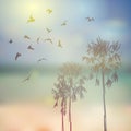 Silhouette of palm trees and birds, beach, sky and Royalty Free Stock Photo