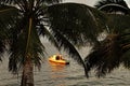 Silhouette of palm trees and a boat at sunset, Savusavu harbor, Royalty Free Stock Photo
