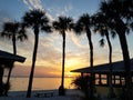 A silhouette of the palm trees and buildings overlooking the sunset by the beach near Cape Coral, Florida, U.S