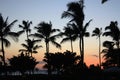 Silhouette of palm trees and bushes against the Pacific Ocean and a sunset, in Waikoloa Village, Hawaii Royalty Free Stock Photo