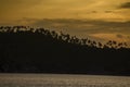 Silhouette palm trees on the mountain during sunset , Thailand Royalty Free Stock Photo