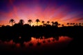 A silhouette of Palm trees reflecting in water atbsunset Royalty Free Stock Photo