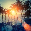 Silhouette of palm trees and the reflection in the pool at sunset tropical sea. Nature. Royalty Free Stock Photo