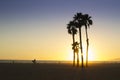 Silhouette of palm trees and surfer in a bright sunset on santa monica