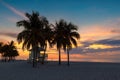 Palm trees on tropical beach at sunrise. Miami Beach