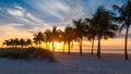 Palm trees on tropical beach at sunrise. Miami Beach Royalty Free Stock Photo