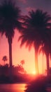 Silhouette of palm trees at tropical sunrise or sunset background Royalty Free Stock Photo