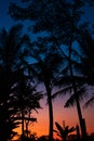 Silhouette of palm trees at tropical sunset on Bali island. Royalty Free Stock Photo
