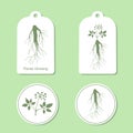 Silhouette of panax ginseng with leaves and root. Vector Illustration. Health and Nature Set of Tags and Labels