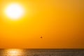 Silhouette of a parachute and a skydiver against the background of a bright burning sunset over the sea