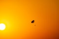 Silhouette of a parachute and a skydiver against the background of a bright burning sunset over the sea