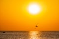 Silhouette of a parachute and a skydiver against the background of a bright burning sunset over the sea