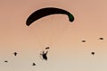 Silhouette of paraglider in the air with pelicans in flight.