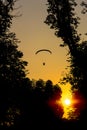 Silhouette of paraglider flying over trees Royalty Free Stock Photo