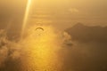 Silhouette of paraglider soaring over sea at sunset Royalty Free Stock Photo