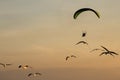Silhouette Paramotor, Parachute, Paraglide flying in the sunset Royalty Free Stock Photo