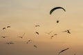 Silhouette Paramotor, Parachute, Paraglide flying in the sunset Royalty Free Stock Photo